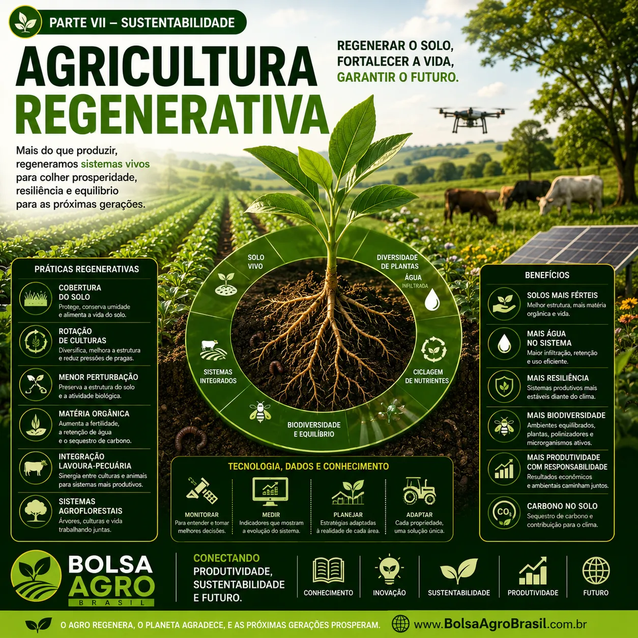 Agricultura Regenerativa