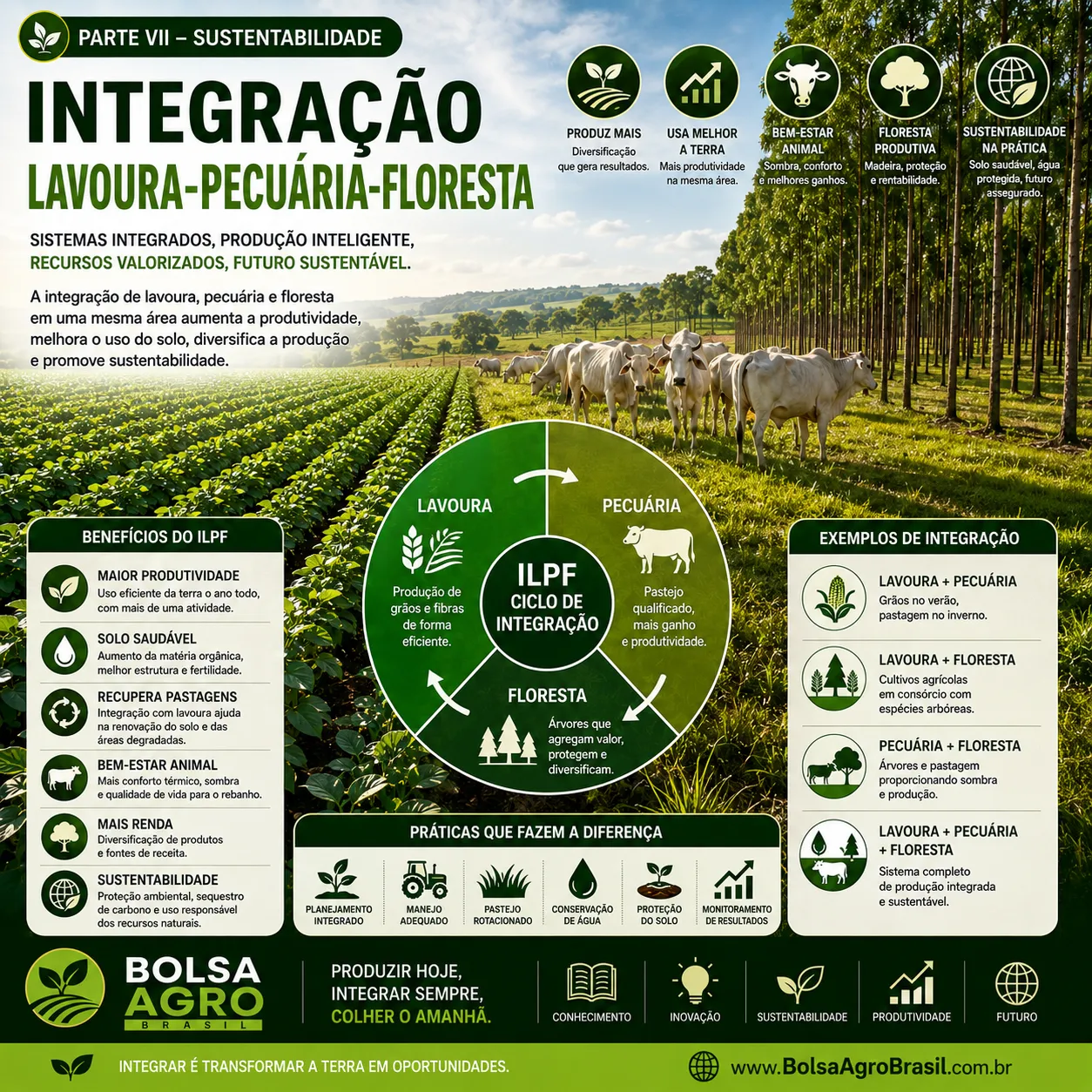 Integração Lavoura-Pecuária-Floresta